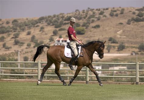 No Stirrups? No Problem!