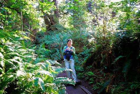 Run-Hike-Play: TBT Hiking Post - Olympic Peninsula Day 2: Second Beach, Ruby Beach, & Hoh Rain ...