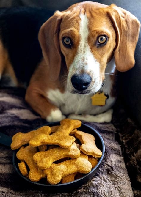 Homemade Dog Treats - Mom On Timeout