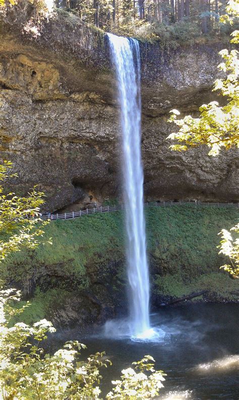 Silver Creek Falls state park, Oregon | Silver creek falls, State parks, Oregon