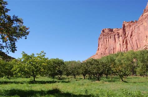 The Orchards at Fruita - Capitol Reef National Park, Utah | Flickr