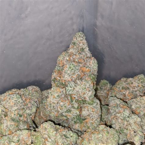 Buy Bulk Tropic Thunder Strain - Cheap Weed Pounds & Reviews