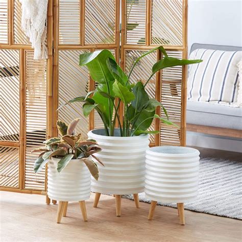 51 Large Planters to Upgrade Your Plant Game