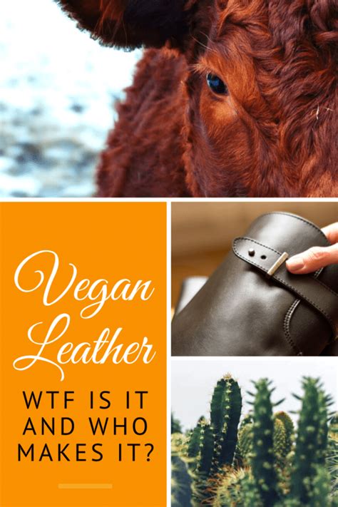 vegan-leather-brands - Veggie Visa