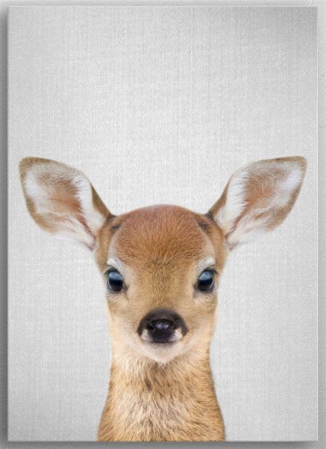 Animal Paintings, Animal Drawings, Deer Wallpaper, Deer Drawing, Photo Animaliere, Deer Art ...