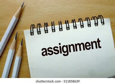 Homework Assignment Photos and Images | Shutterstock