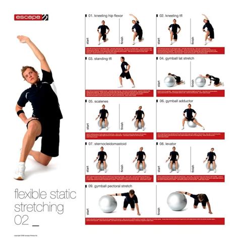 Benefits Of Stretching And Workouts For Better Flexibility