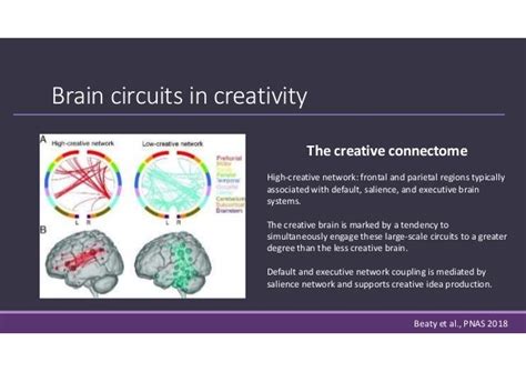 Prefrontal Cortex & Decision Making: the modular and circuit-based ap…