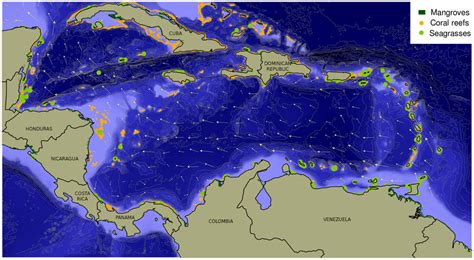 Bathymetry, main currents, and ecosystems of the Caribbean Sea. Arrows... | Download Scientific ...