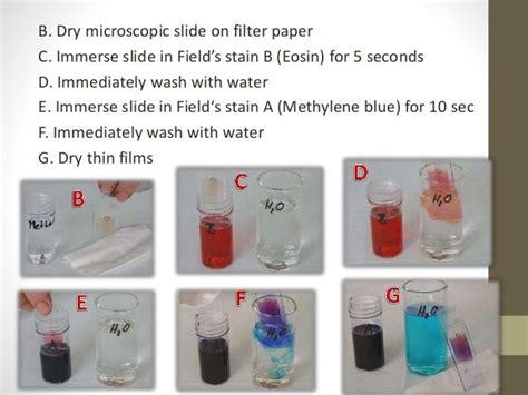 Blood smear staining