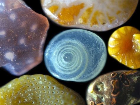 Sand Looks Unbelievably Cool Under a Microscope | WIRED