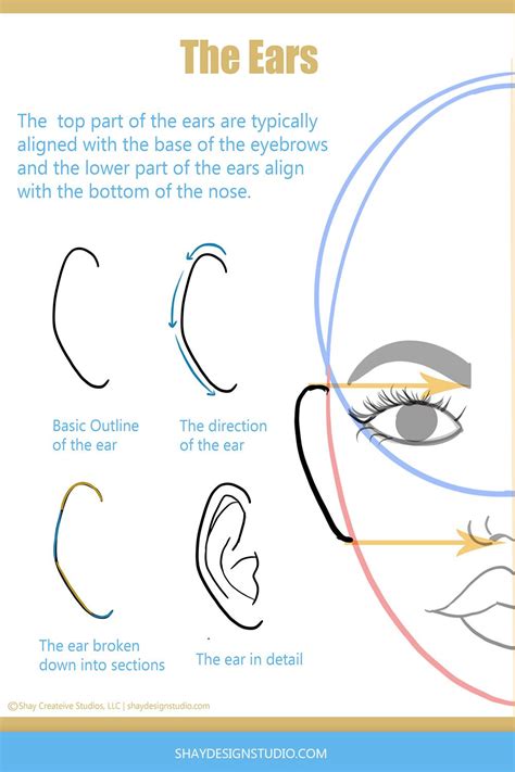 How to draw ears – Artofit