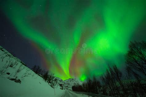 Awesome Aurora Borealis in Norway Stock Photo - Image of beautiful ...