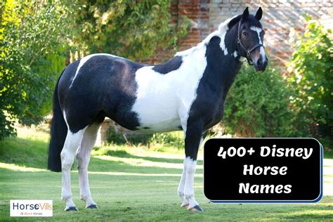 Disney Horse Names: 400+ Ideas for Stallions, Mares & Foals