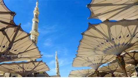 al-Masjid an-Nabawi Umbrellas – Al-Masjid an-Nabawi (The Prophets Mosque) in Madinah, Saudi ...