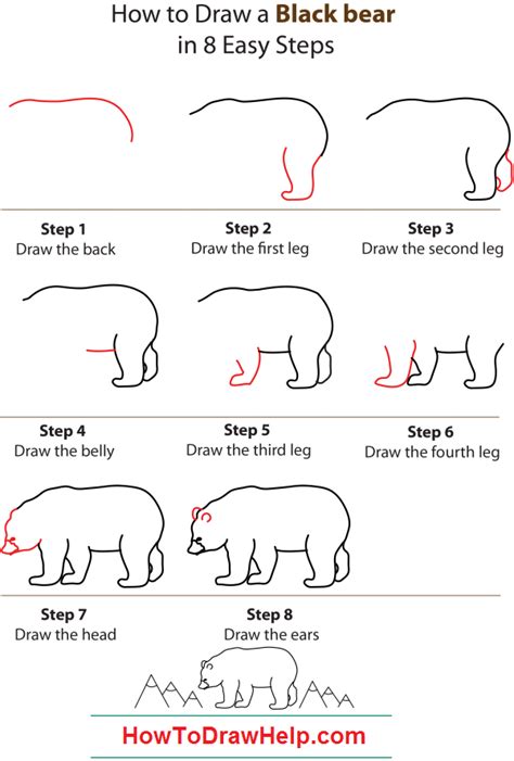 how-to-draw-a-black-bear-step-by-step | Bear drawing, Black bear, Bear ...