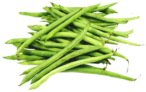 Green bean PNG