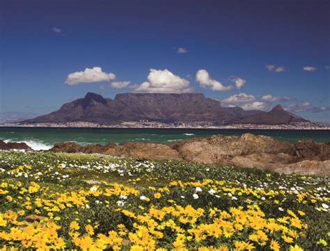 Incredible views from Table Mountain, South Africa - The Travel Hack