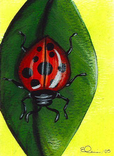 Ladybug Ladybug - by Elaina Wagner from Butterflies & Insects