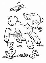Baby Farm Animals Coloring Pages – Warehouse Of Ideas sketch template
