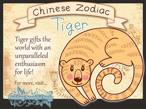 Chinese Zodiac Tiger Child Personality & Traits | Chinese Zodiac for Kids