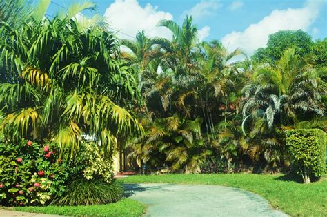 The beauty of Coral Gables, Florida in 20 photos | Whisper Wanderlust