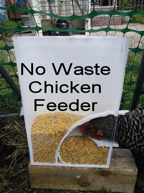 1-CF.... What is needed is a chicken feeder that has no mess, doesn’t spill out over the ground ...