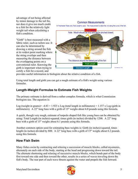 Fish anatomy | PDF