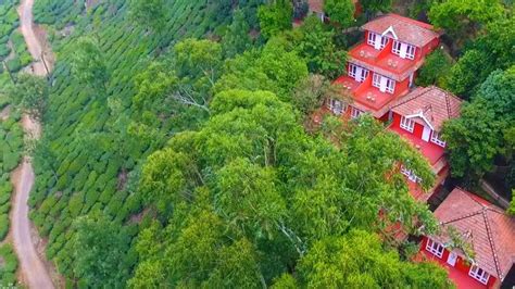 Tea Valley Resort | Where to Stay | Kerala Tourism