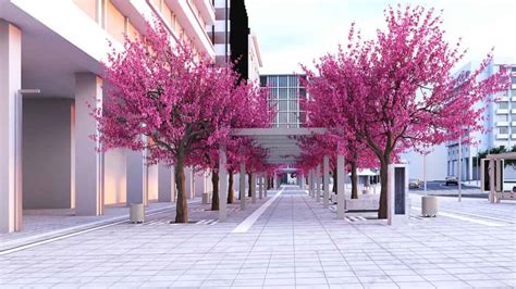 Revamped Syntagma Square To Open On June 15. – Greek City Times