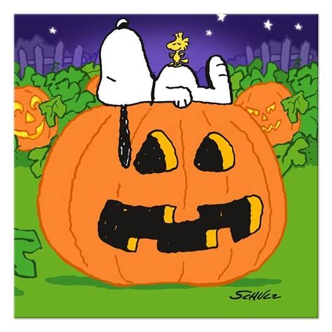 63b12c144420cccf19ad3f3db8367565.jpg | Snoopy halloween, Peanuts ...