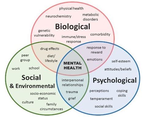 Topic 4 Bio-Psycho-Social model - Dr.PedChef