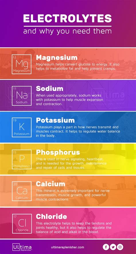 an info sheet with different colors and font options for each element in the text box