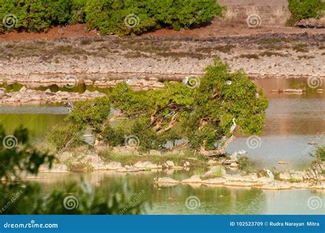 Panna River and Rivebed at Panna National Park, Madhya Pradesh, India ...