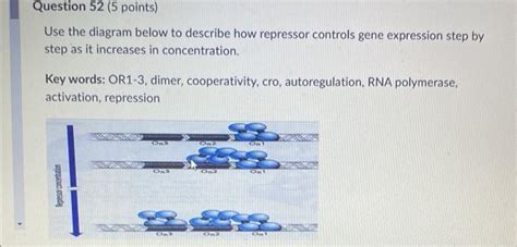 Solved Use the diagram below to describe how repressor | Chegg.com