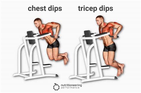 How to Do Chest Dips vs Tricep Dips for Upper Body Gains