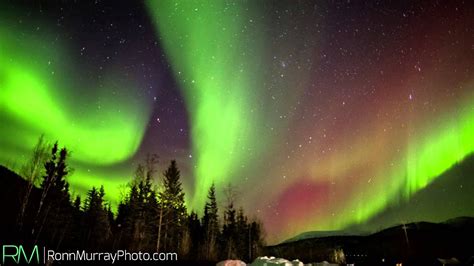 Aurora Borealis Lights Alaska | Shelly Lighting