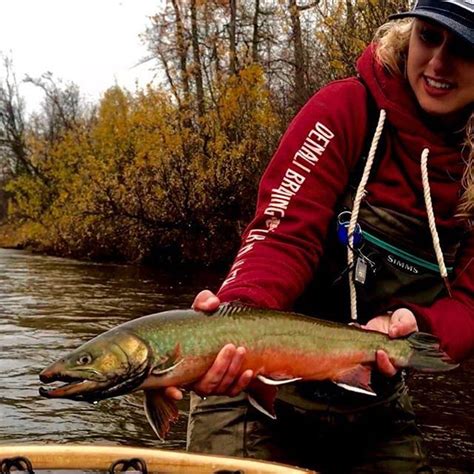 Love these guys and this time of year 😻🍂 50+ Dolly days can't be beat! #alaska #flyfishing # ...