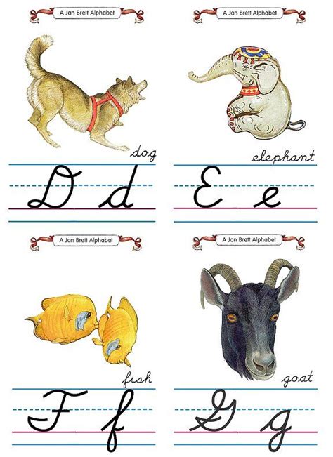 Jan Brett Flash Card Cursive Alphabet | Printable flash cards ...