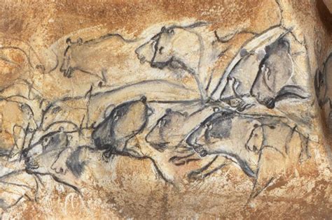 Beautiful Rugs Archives | Chauvet cave, Cave paintings, Paleolithic art