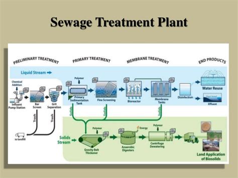 Sewage Treatment Plant Roles And Process