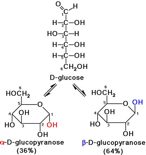 9 GALACTOSE STRUCTURE OPEN CHAIN - StructureofGalactose1