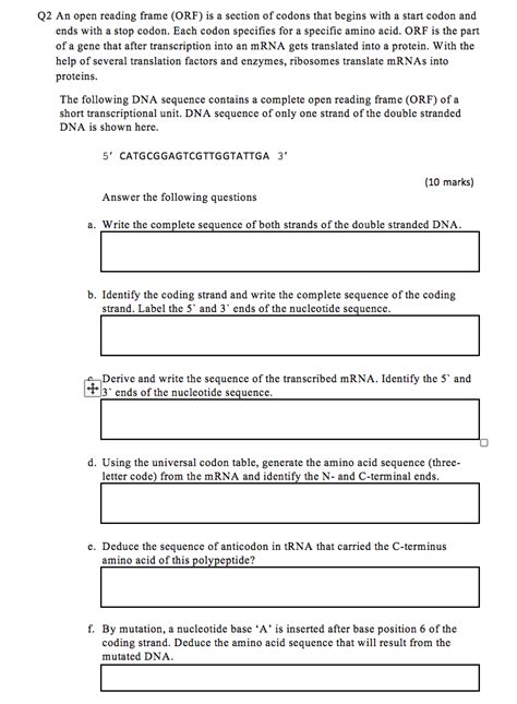 Dna Open Reading Frame | Webframes.org