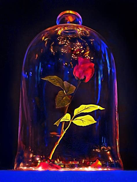 Download Beauty And The Beast Rose Blue Light Wallpaper | Wallpapers.com