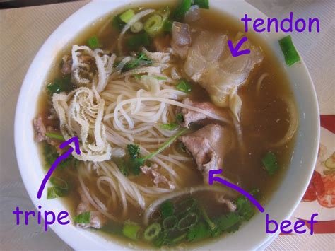 pho tendon