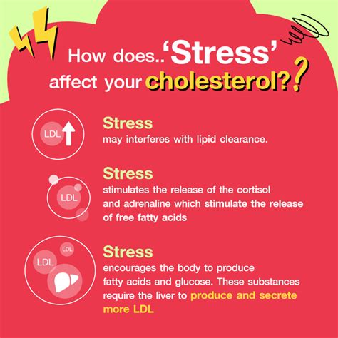 How does stress affect your cholesterol?| Blackmores Club