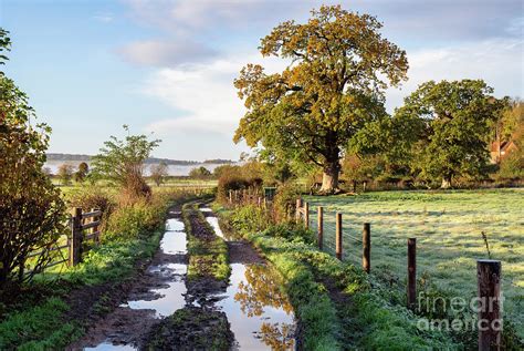 Country Lane in the Buckinghamshire Countryside in Autumn Photograph by ...