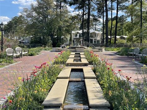 PHOTOS/VIDEO: Norfolk Botanical Garden open for safe summer fun | WAVY.com