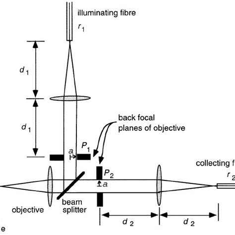 Schematic diagram of the optical system. | Download Scientific Diagram