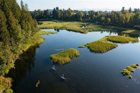 Try These Summer Activities Around Sandpoint | Things to Do in Idaho